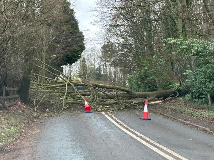 ⚠️🌳TREE DOWN!! 🌳
Near entrance to Abberley Hall school (clocktower).
A443.
#WorcestershireHour 
<a href="/WorcsTravel/">Worcs County Council Highways & Travel</a>
@HWFireTenbury