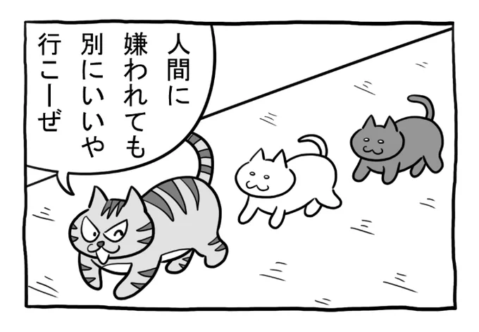 ねこまんがかいてみた332「同士」

#ねこ #ネコ #猫 #白猫 #黒猫 #猫漫画 #4コマ #4コマ漫画 #四コマ漫画 #マンガ #漫画 #野良猫 #お出かけ #仲間 #漫画が読めるハッシュタグ 