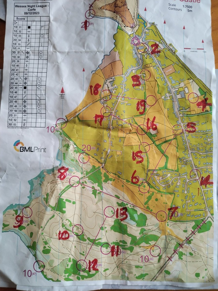 Wessex Orienteering Club tweet media