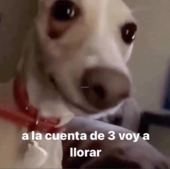 analogicrem's tweet photo. Siddhartha diciendo que le dedicará una canción a su abuelita

Suena “A la distancia”

AUTOMÁTICAMENTE YO: https://t.co/WrqobBvvOU