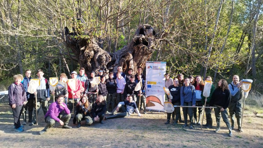 Estudiantes participando en #RíosdeVida bajo un gran #CastañoRadio3 del río #JérezDelMarquesado (abril 2023). Esperamos que la nueva @dipgra vuelva a financiar tan lindo proyecto, de bajo coste y mucho rodaje ya... ¡Por lxs alumnxs de los IES del entorno de #SierraNevada!