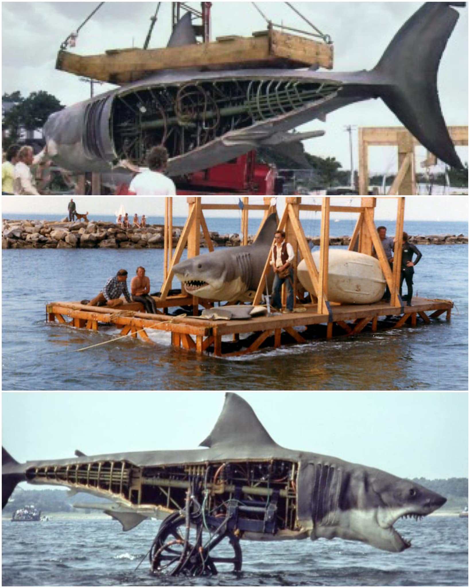 The Daily Jaws on X: Is Bruce the #shark from #JAWS the greatest