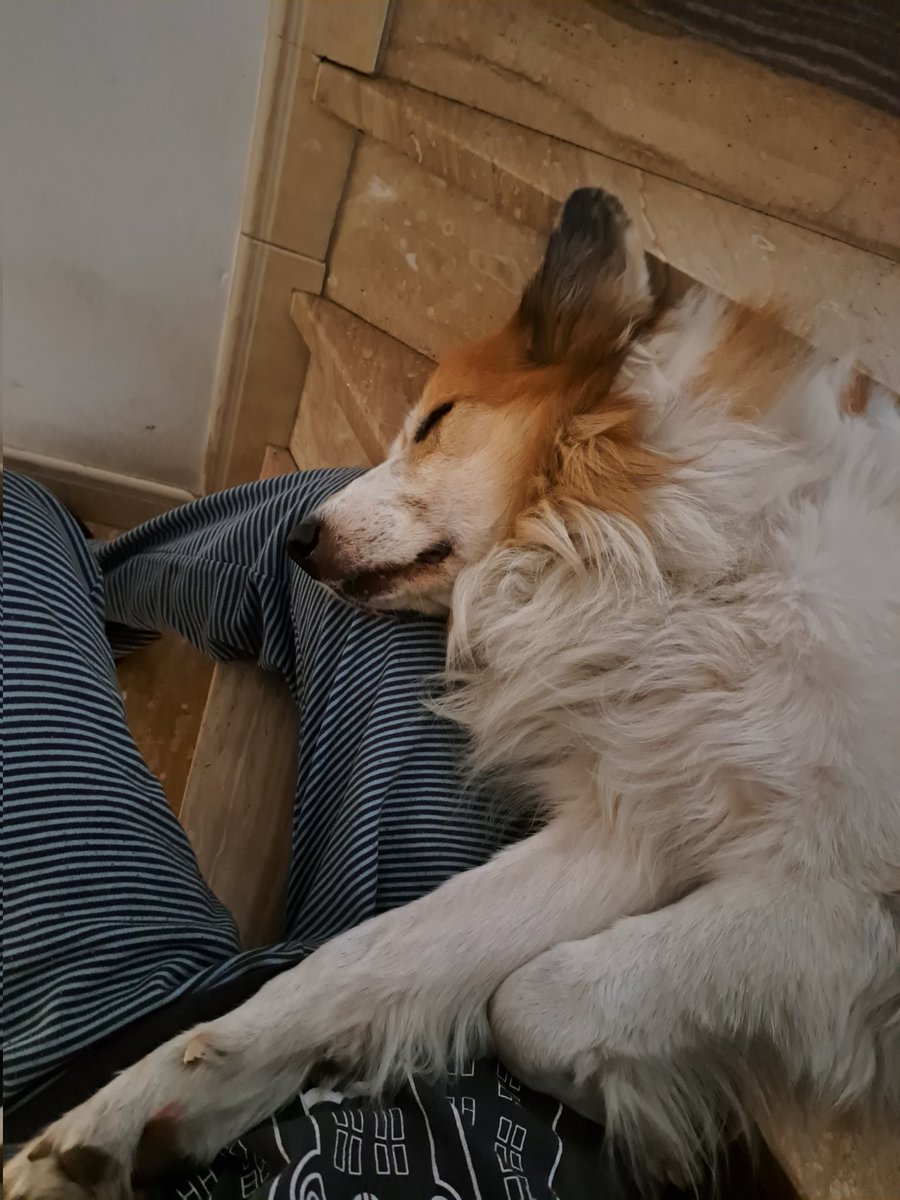 lai (@layitabs) on Twitter photo 