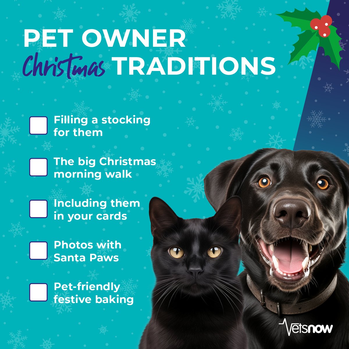 Out of 5, how many boxes do you tick off with your pet? ✅🐾 Let us know in the comments if you have any special festive traditions with your furry companions. 🥰