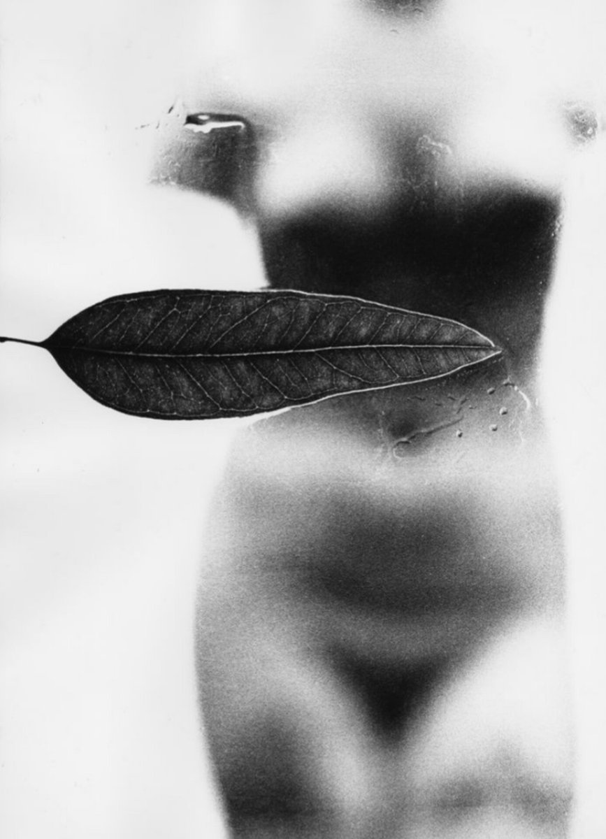 GiuseppeTurrisi's tweet photo. "Ho un cuore dalla rilegatura antica
che cerca la sua polvere in una pagina."
#PasqualePinto
📷 #SamHaskins
#mondodiversi @MondoDiVersi @a_saba78 @DavLucia @672Cilia @Dreaming_81 @GIULIA2691 @ehmobasta @eva_si_one @Sensibilia8 @Monica09058845 @Lilliflo @bralella09 @DBking85 https://t.co/iRWZfHuqW3