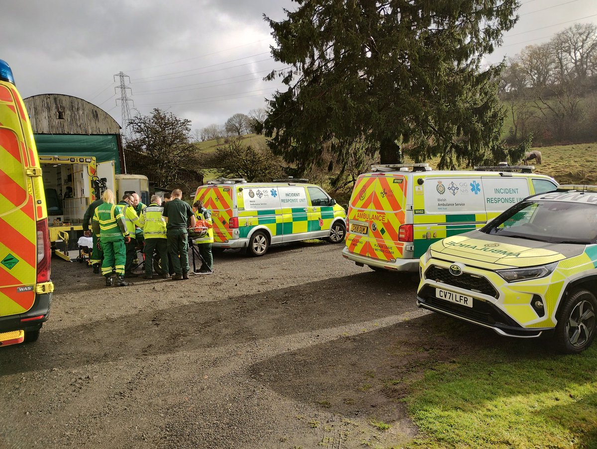 Louise Allen tweet media