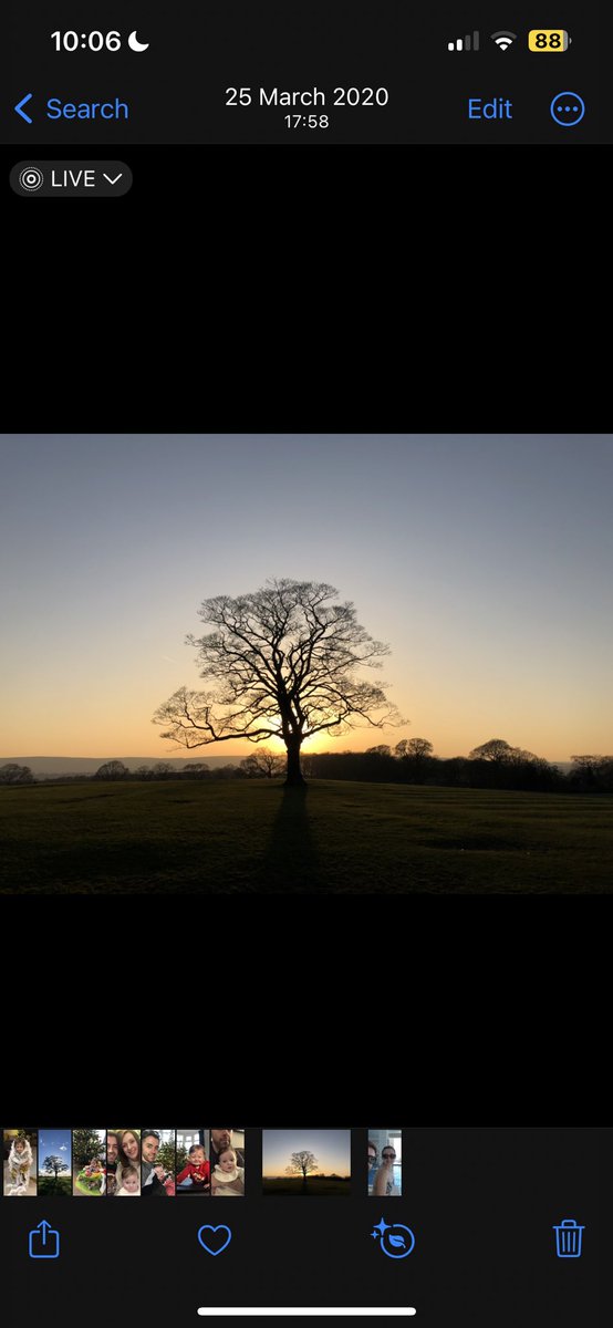 Sad times - this beauty at Graves park fell victim to the wind last night #Sheffield <a href="/SheffieldStar/">The Star, Sheffield</a> <a href="/BBCSheffield/">BBC Sheffield</a>