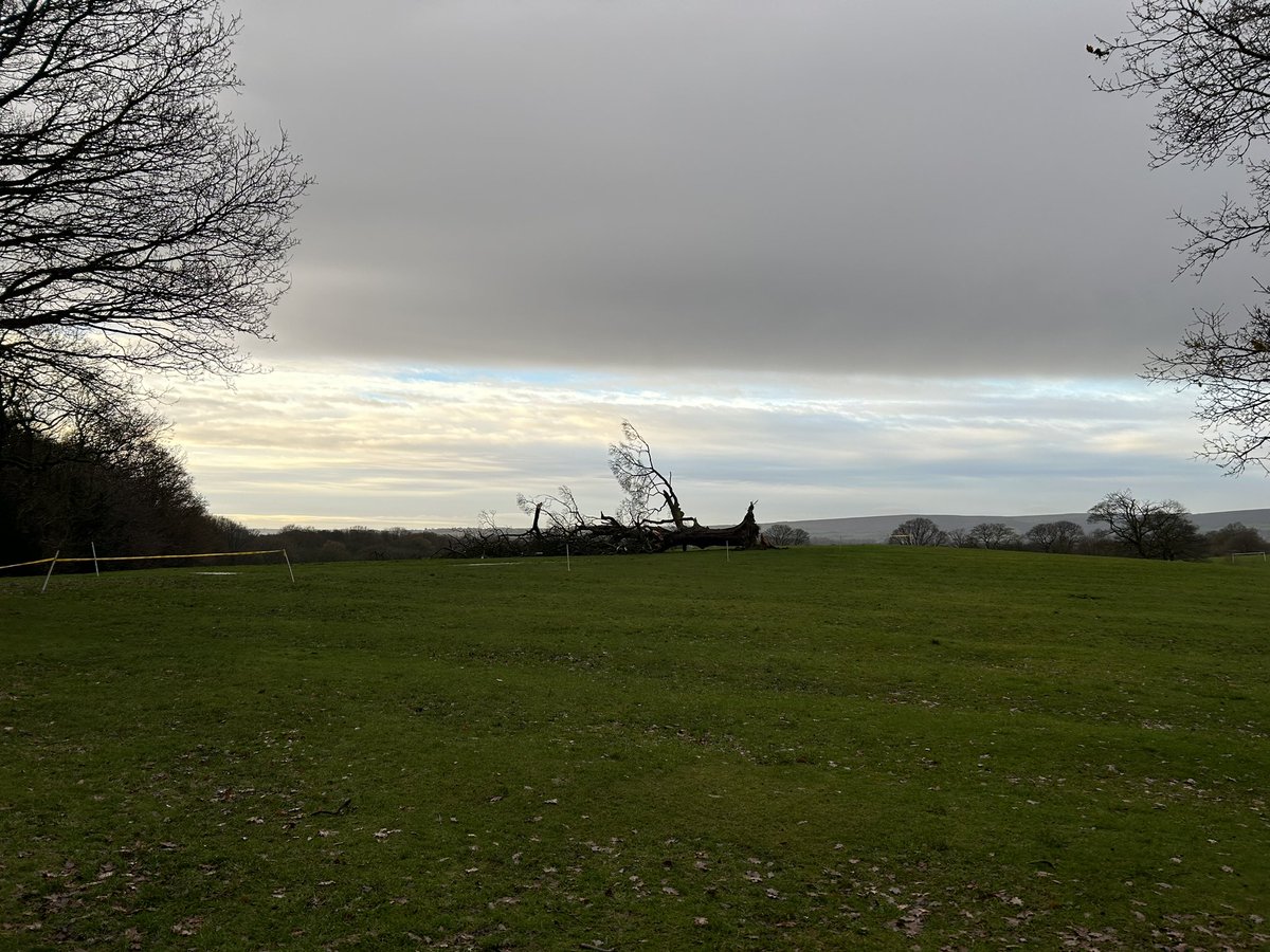 James Alexander tweet media