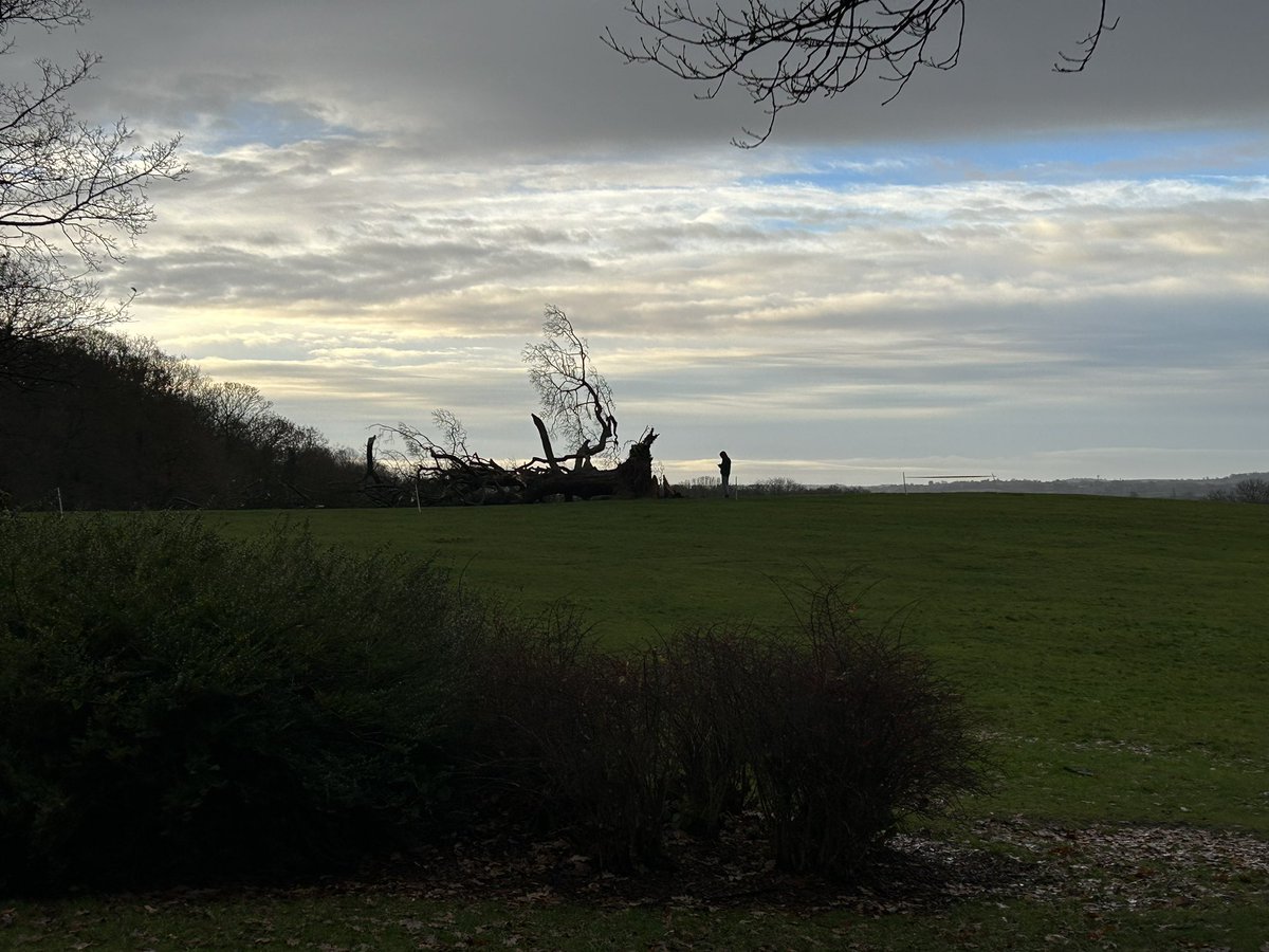 James Alexander tweet media