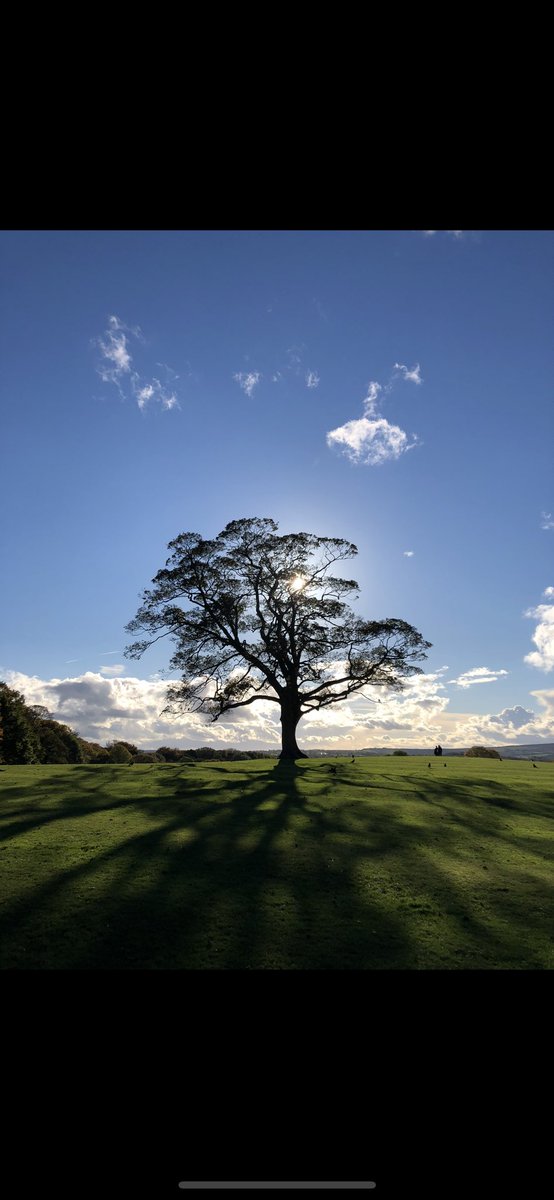 James Alexander tweet media