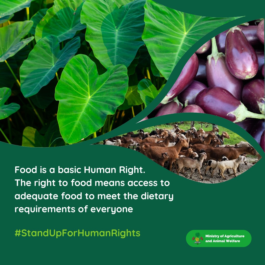 #StandUpForHumanRights 
@hrcmv @AishaRamy @FAO