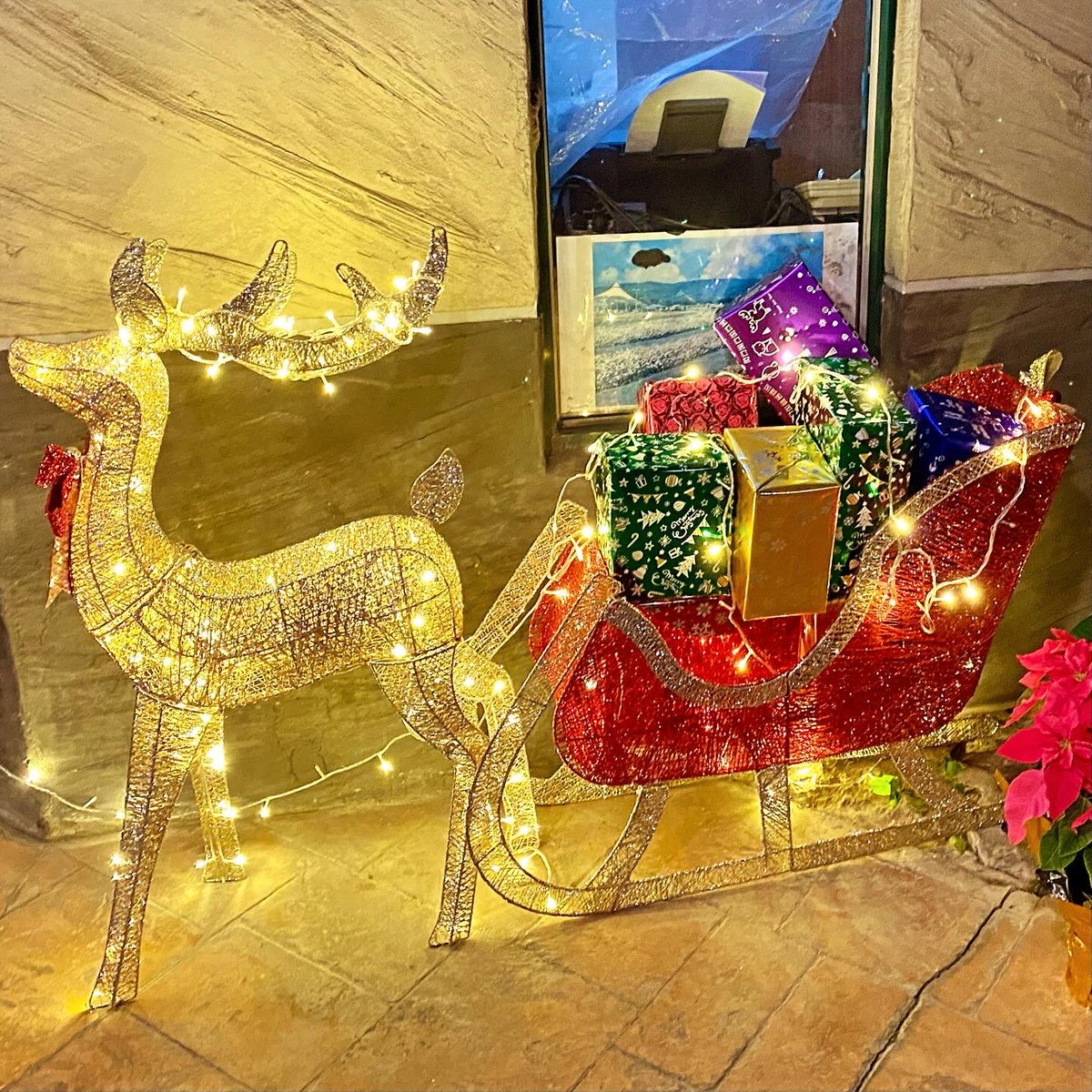 mapleton_motel's tweet photo. 楓采今年的耶誕跨年佈置在櫃台旁多了閃耀的金銀鹿 🦌 We wish you a merry Christmas and a happy new year! 🎄 https://t.co/UcsI87yBbq