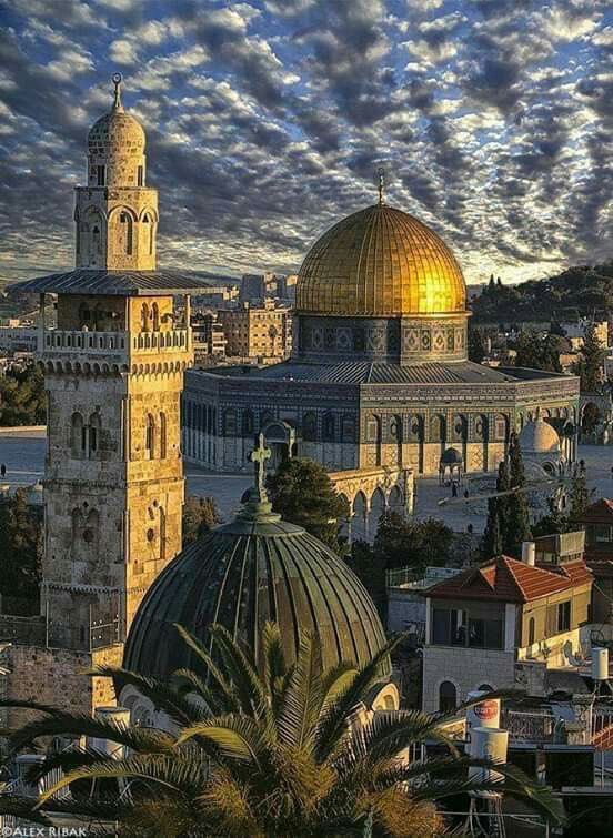 🇵🇸 Palestine is beautiful