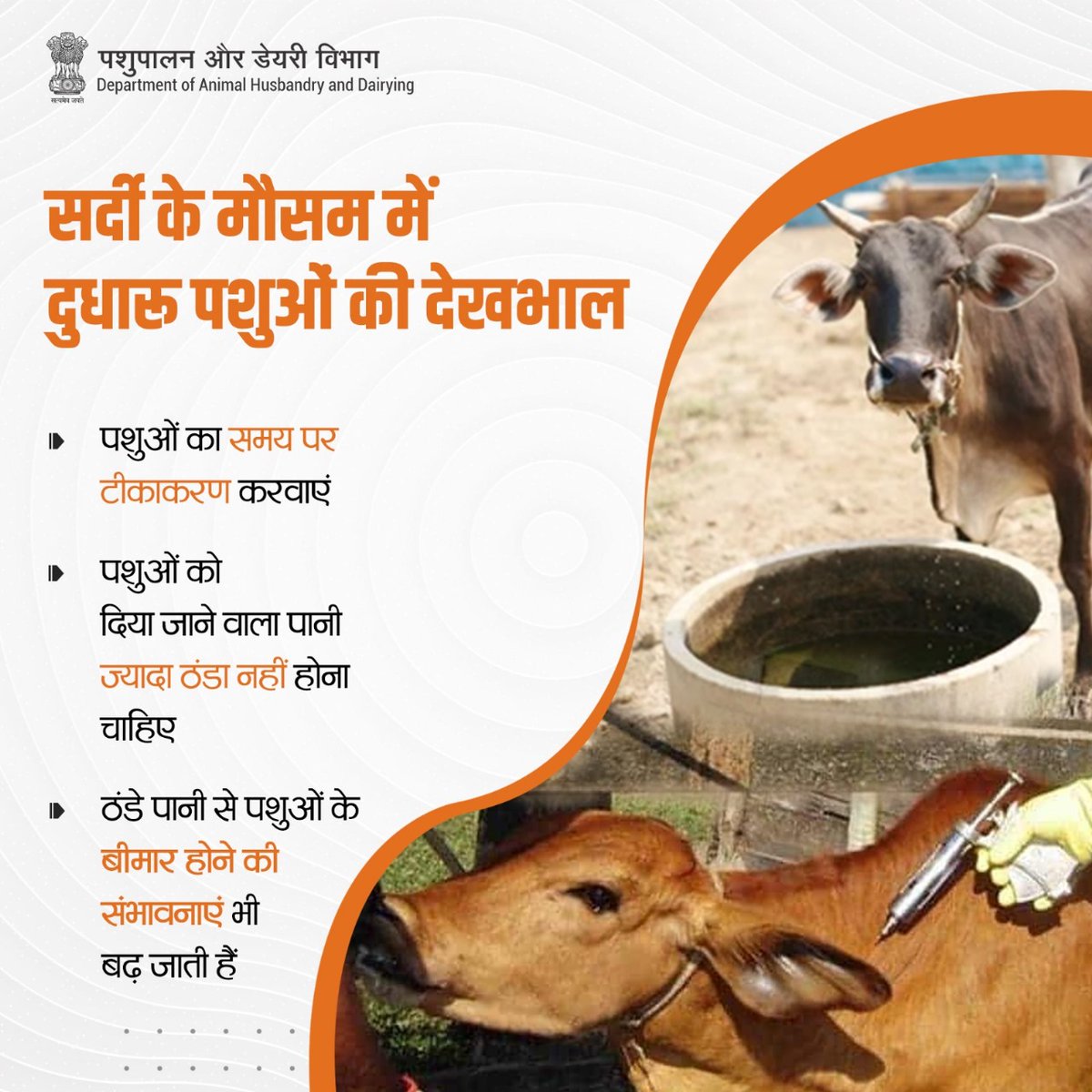 Dept_of_AHD's tweet photo. सर्दी के मौसम में ठंड, ओस एवं कोहरे से बचाने के लिए पशुओं को पीने के लिए ठंडा पानी देने से बचें ।
 साथ ही समय रहते टीकाकरण करवाएं।
#animalhealth #animalcare #wintercare #AnimalHusbandry https://t.co/udSC4H69my