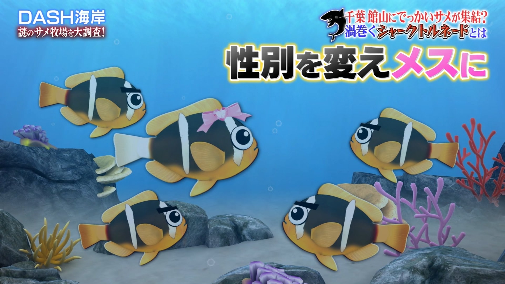 ゆくブラっ！📺 على X: 