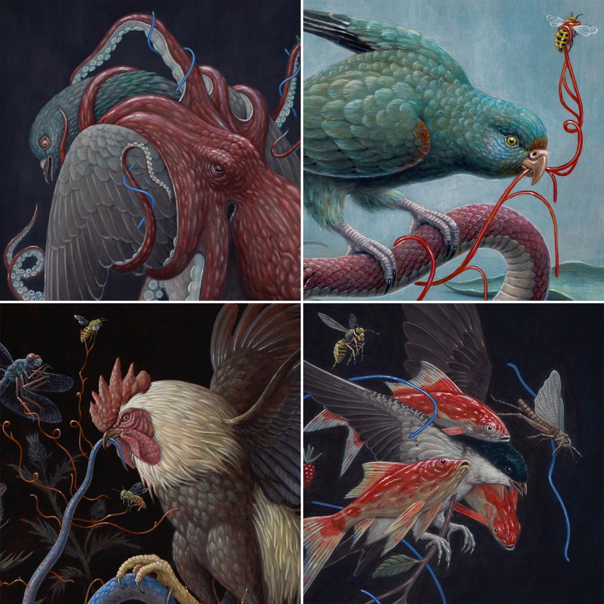 showchicken's tweet image. gm 🐦