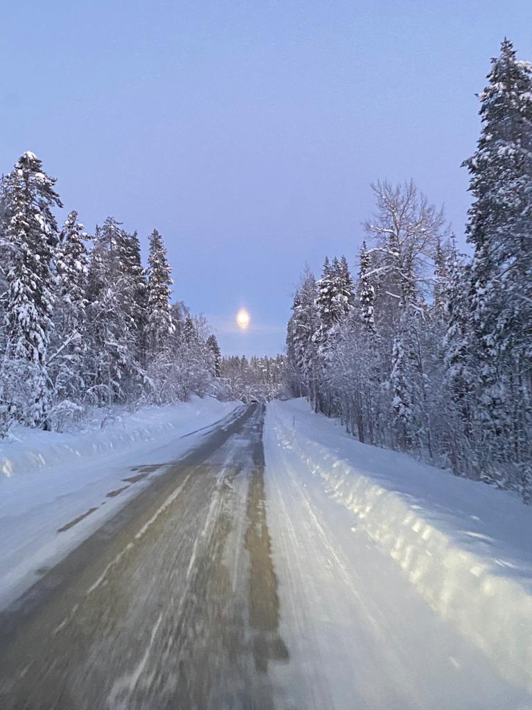 Moonlight night #Finland #Lapland #VisitLapland