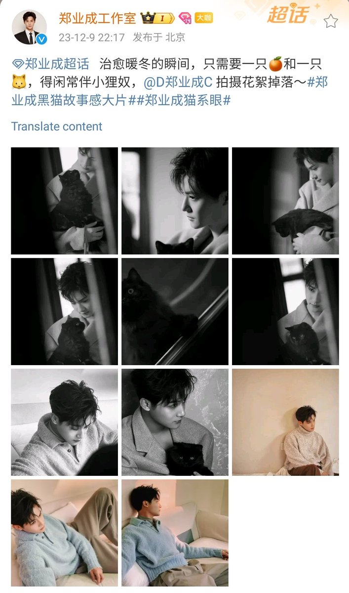 20231210 Studio: The moment of healing in the warm winter, only