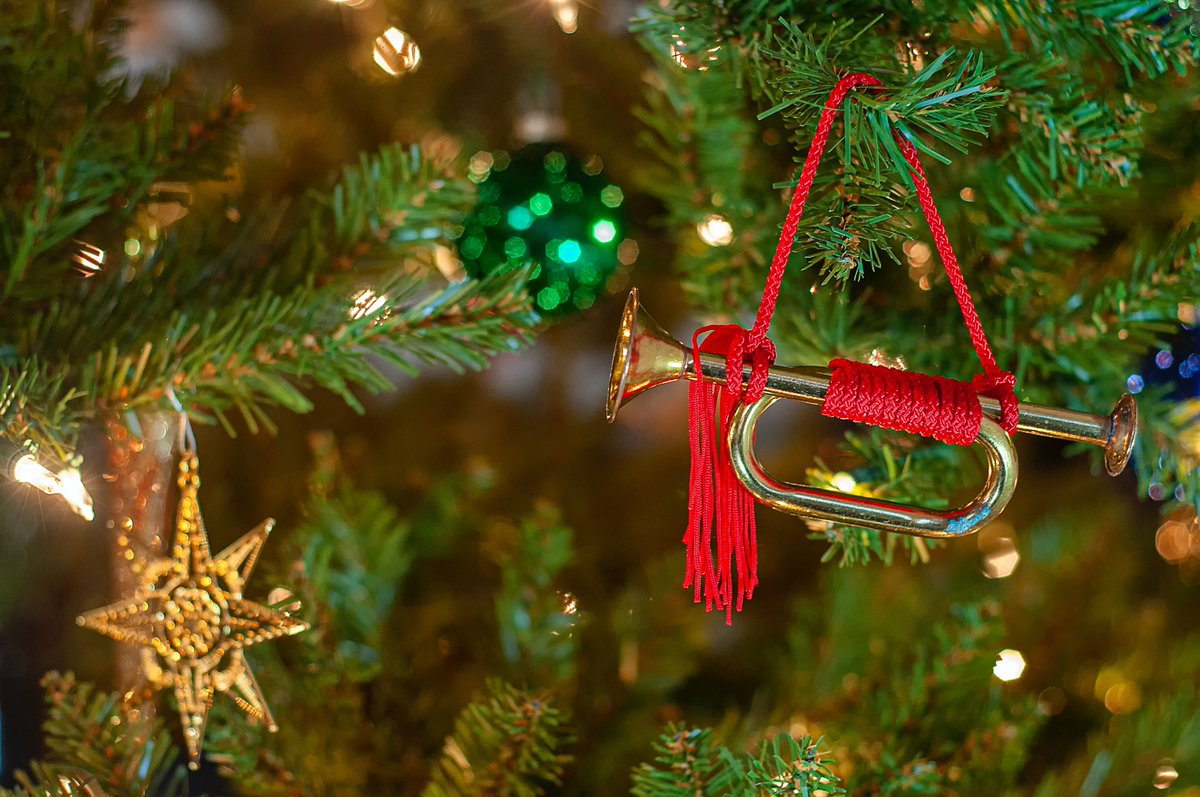🎵 Our 40th Anniversary / #Christmas Concert is on today at 3.30pm St Martin's Church, London Road, #Worcester

Please pop in and support our amazing students - all ages and abilities!

FREE entry (donations gratefully received)

#WorcestershireHour #community #music