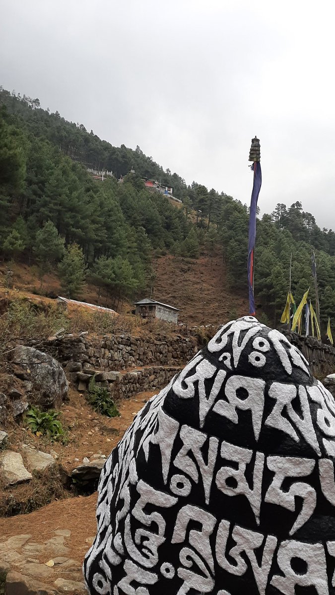 Mukum3's tweet photo. उ माथिको गुम्बा गर दुई कप दूध चिया पिएर आइयो ... गाउँले सत्कार 🤗 #Phakding #EBC https://t.co/U0iPfu47gI