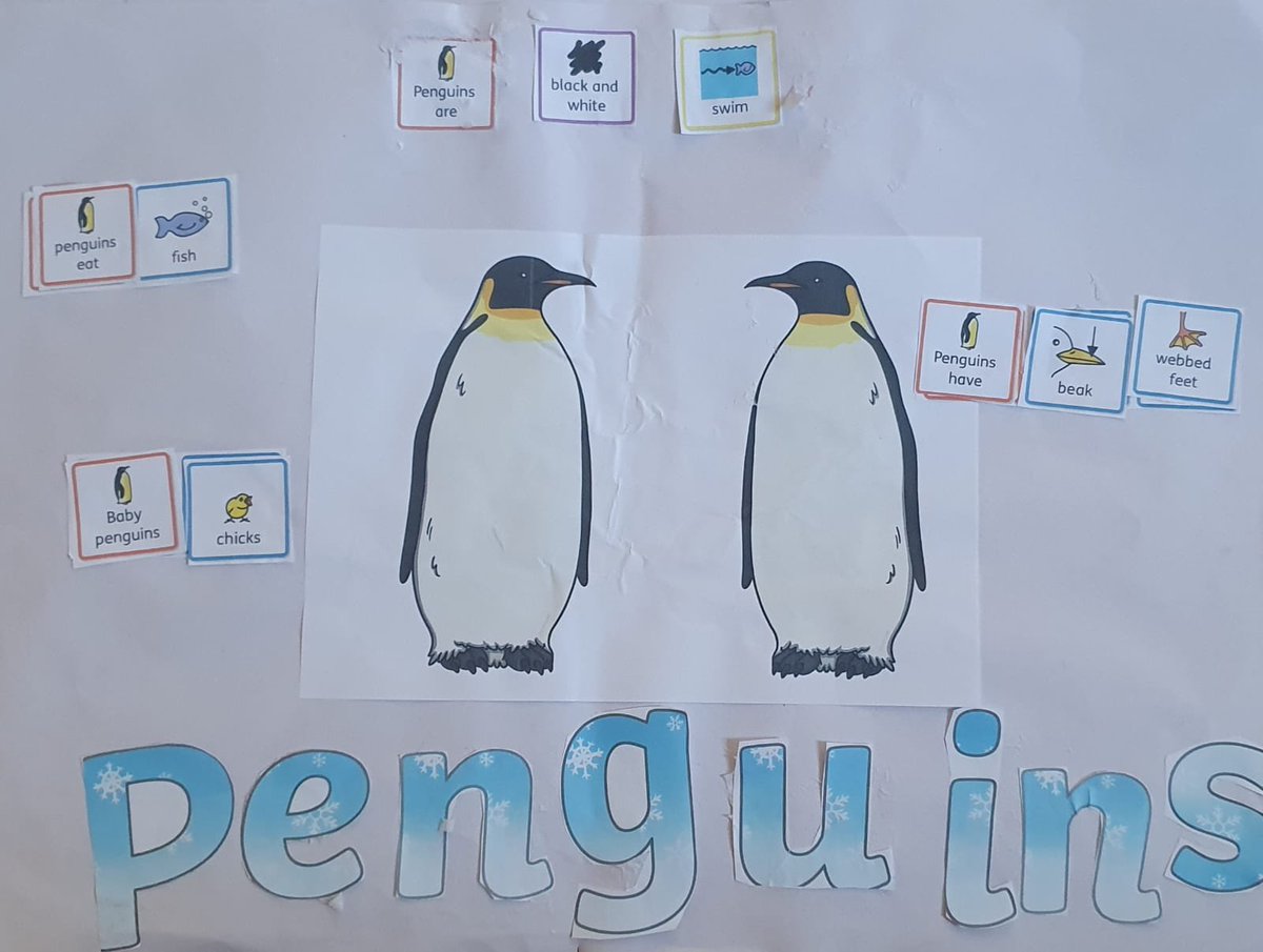 LSEATWoodside's tweet photo. @LSEATWoodside Buttercup class have been working hard all week on their poster fact files about penguins.  #ks1 #buttercupclass #penguins https://t.co/lADD4TlUgm