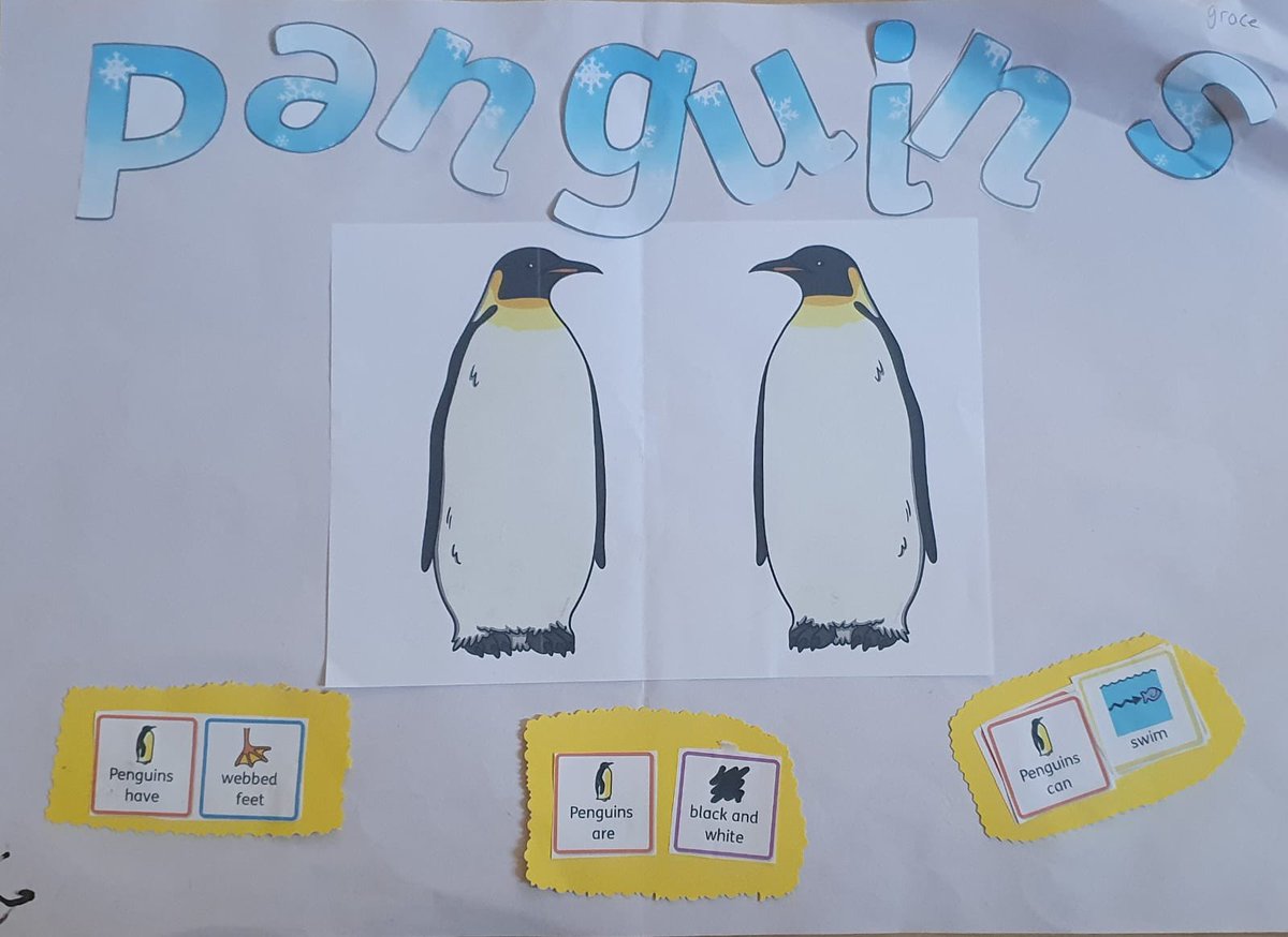 LSEATWoodside's tweet photo. @LSEATWoodside Buttercup class have been working hard all week on their poster fact files about penguins.  #ks1 #buttercupclass #penguins https://t.co/lADD4TlUgm