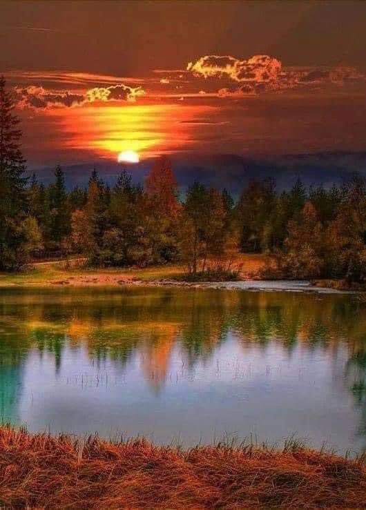 EjazGujjar55's tweet photo. Good evening https://t.co/Fx1Akuqlj4