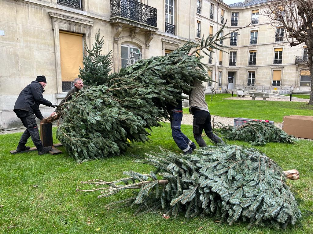 [#QVT] Pour le plus grand bonheur des patients en gériatrie et en psychiatrie ainsi que les professionnels, c'est au tour de l'hôpital Fernand-Widal <a href="/APHP/">Assistance Publique – Hôpitaux de Paris (AP-HP)</a> d'accueillir ses sapins ! 🎄

Merci aux jardiniers pour ce superbe travail 🤩