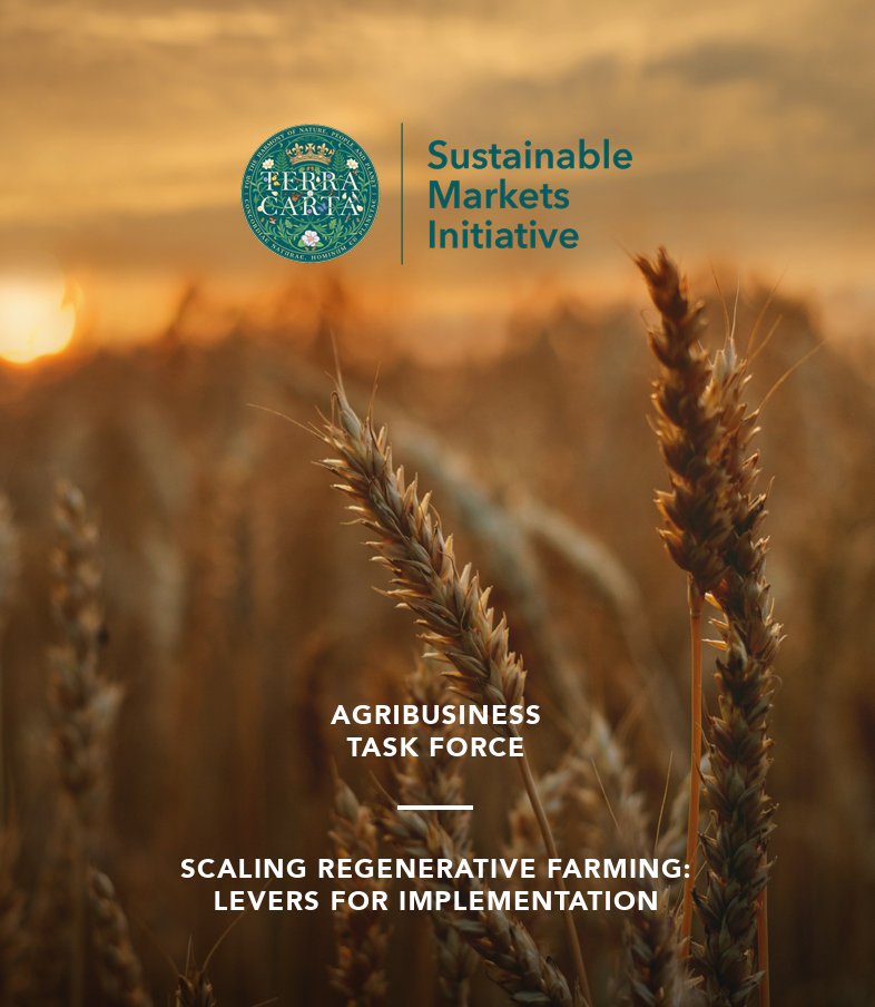 Our Agribusiness Task Force is working to help make regenerative farming mainstream, learn more about the steps needed in our ground-breaking report: lnkd.in/eduHrj68