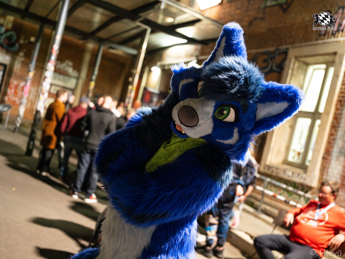 BayernFurs's tweet photo. Braket is thinking about, if he should go and dance,
or if he should party hard. Why not both :D
#BFD13 #FursuitFriday
🦊 @BraketFox
📸 @HiryuTheDragon
Ihr wollt uns unterstützen? Super!
Dann hier entlang, unter
https://t.co/ARcYxO1WLh https://t.co/Zl2ToX1ckt