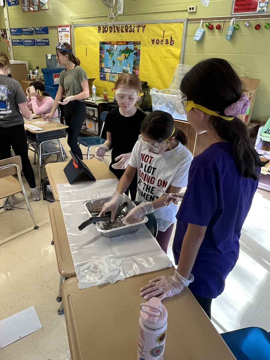 Christine tweet media