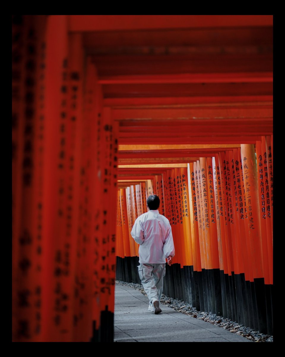 _mvltiple's tweet photo. Part II — Kyoto. https://t.co/jxE0GfROdI