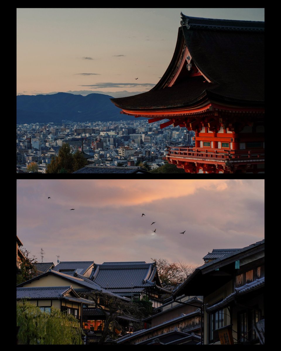 _mvltiple's tweet photo. Part II — Kyoto. https://t.co/jxE0GfROdI