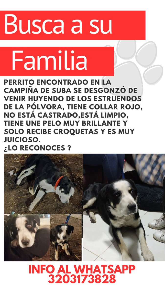 PaolaM22_'s tweet photo. @jezikitha2012 Hola, no aun nada pido por favor me ayuden a difundir🥺 https://t.co/OWMz9hVHP6