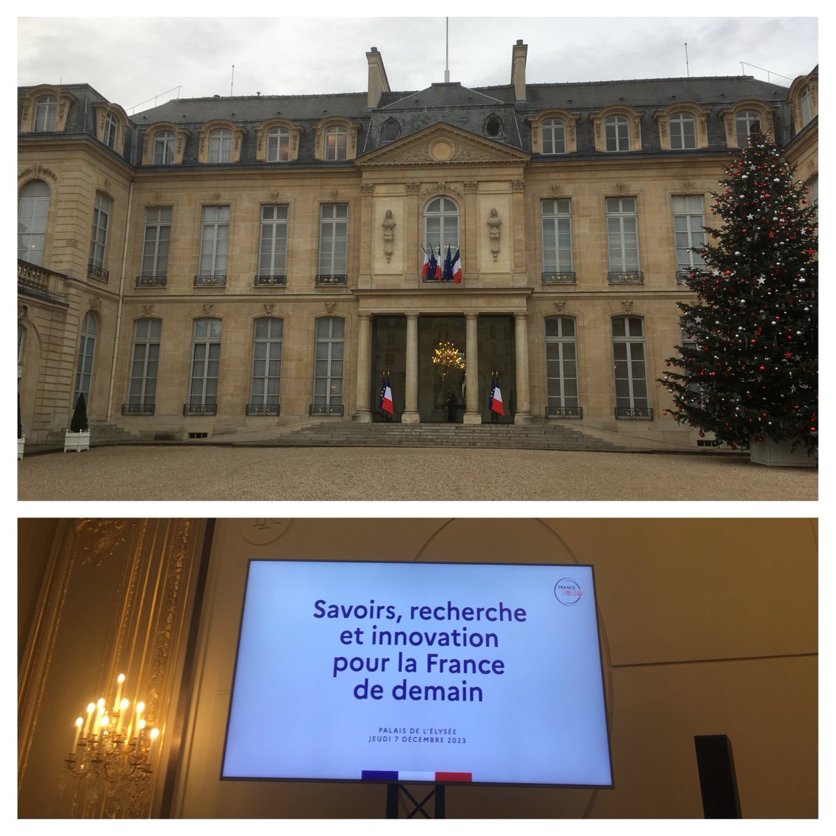 Anne-Laure Bulin tweet media