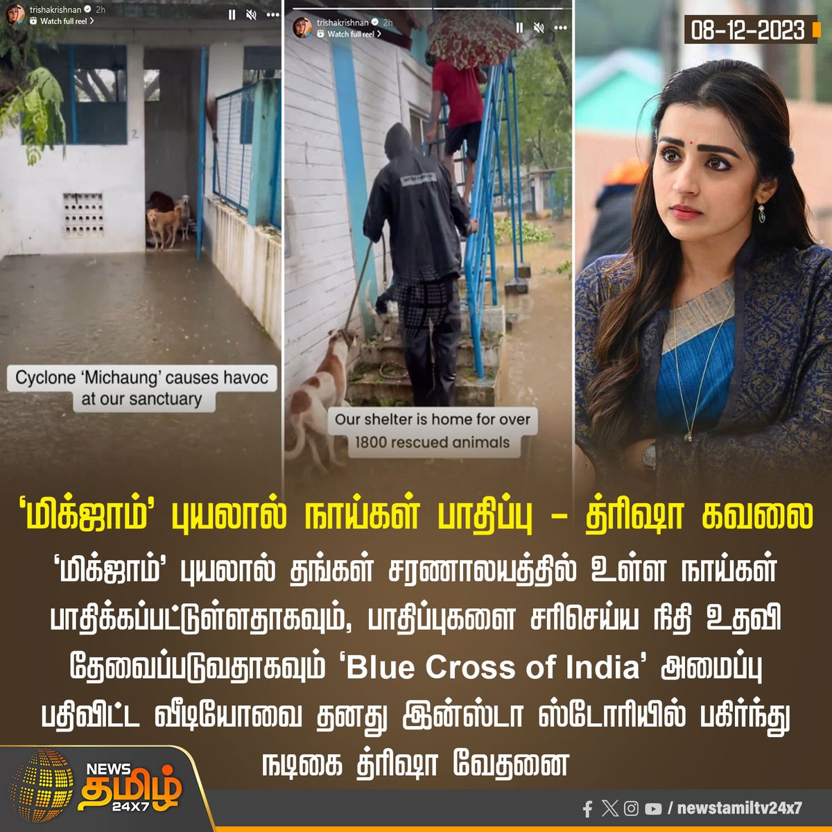 NewsTamilTV24x7's tweet photo. #NewsUpdate | 'மிக்ஜாம்' புயலால் நாய்கள் பாதிப்பு - த்ரிஷா கவலை

#NewsTamil24x7 | #Michaungcyclone | #Trisha | #BlueCrossOfIndia | #Sanctuary | #1800AnimalsRecued https://t.co/UDRcieBcsA