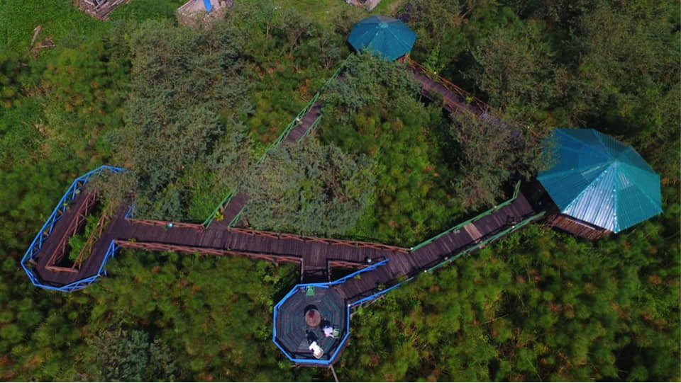 DHOLUO DICTIONARY , PhD tweet media