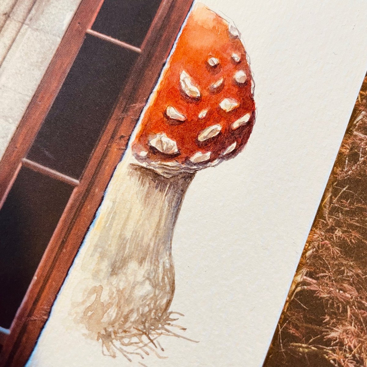 Lucia_Antunes's tweet photo. Amanita muscaria // Demo for my post-grad students.
#scientificillustration #scientificart #drawing #scienceart #nature #naturedrawing #illustration #drawing #sketching #fieldsketching #watercolor #fungi #funghi #micology #mushrooms #autumn #earth #mycelium #amanitamuscaria https://t.co/ZLBdUiiYMT