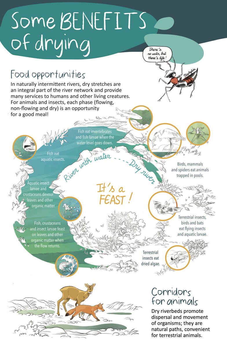 INRAE Lyon-Grenoble Auvergne-Rhône-Alpes tweet media