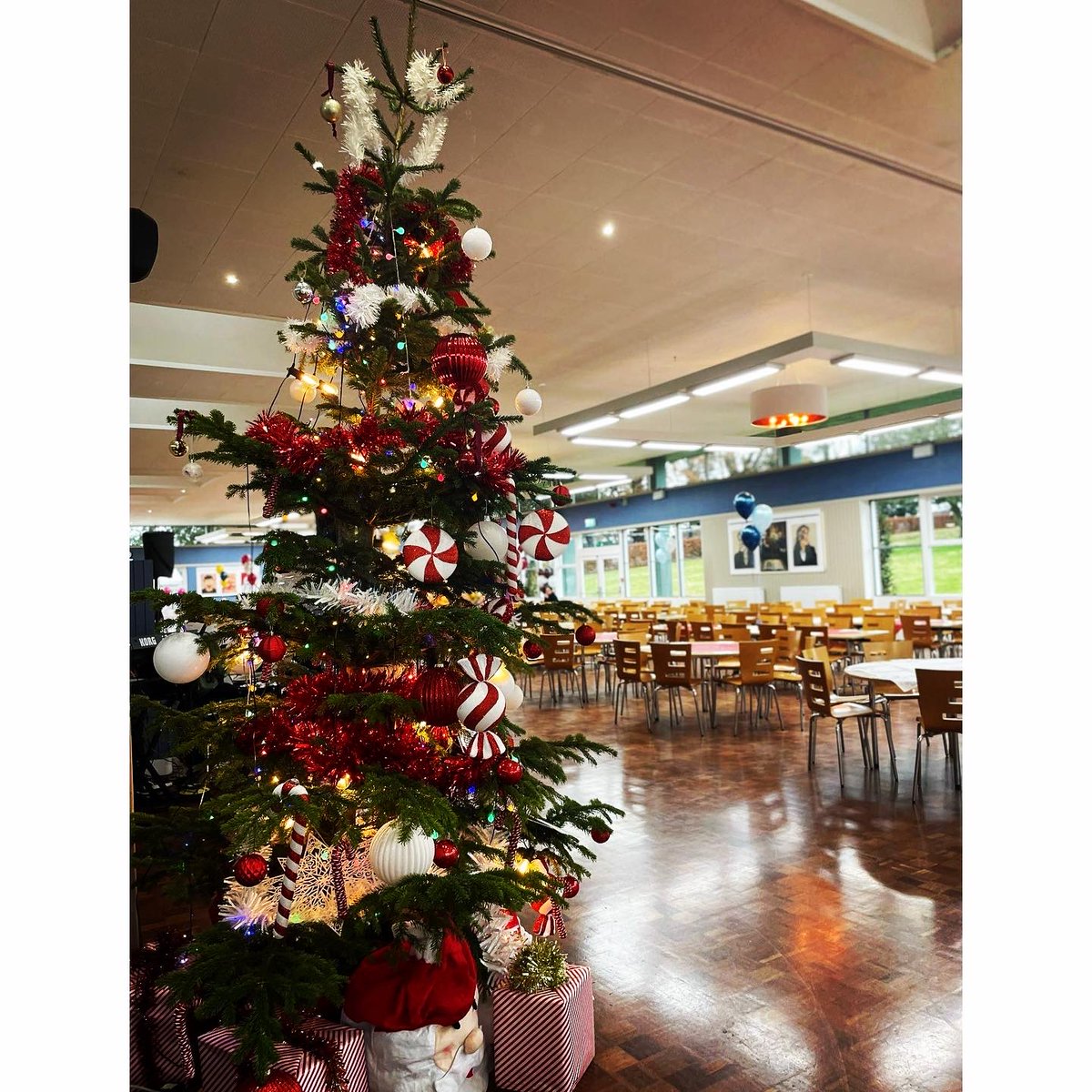 Shrewsbury School tweet media