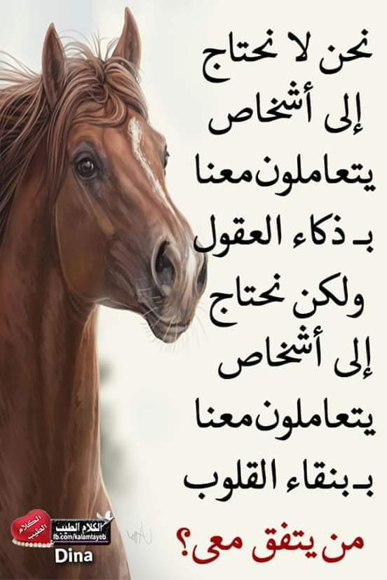 Rana Al Hossiny (@hossinyrana) on Twitter photo 