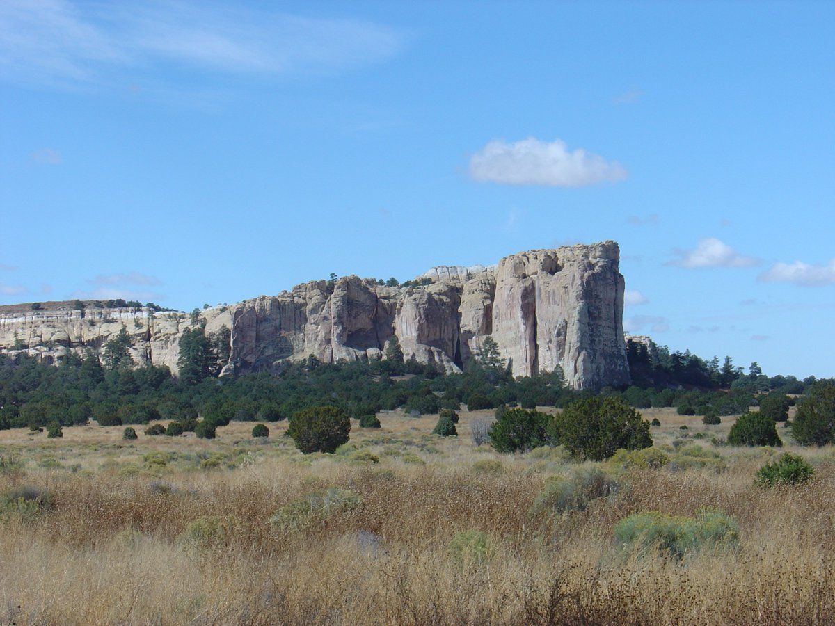 TR_Center's tweet image. #OnThisDay in 1906, President Roosevelt declared 3 National Monuments: El Morro in New Mexico; Montezuma Castle in Arizona; and Petrified Forest, also in Arizona. El Morro and Montezuma Castle remain Monuments today, and Petrified Forest was "upgraded" to a National Park in 1962.