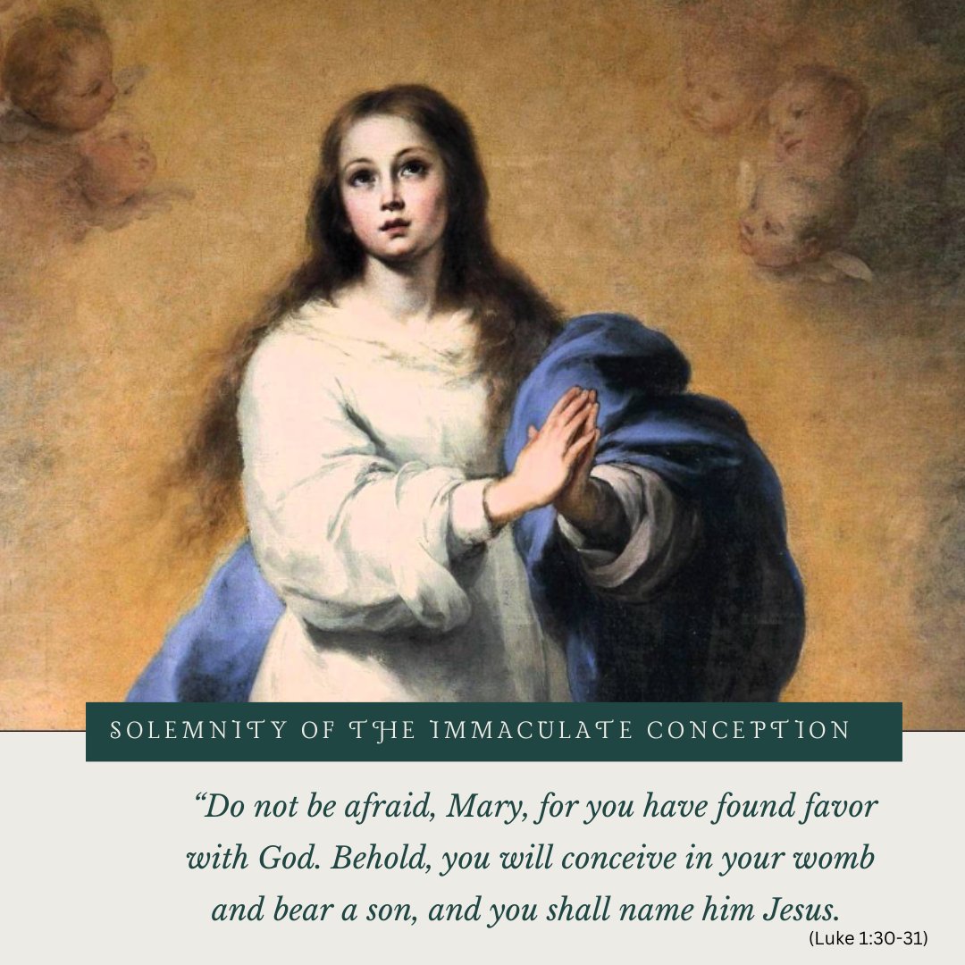 Foundation of the Roman Catholic Diocese - Raleigh tweet media