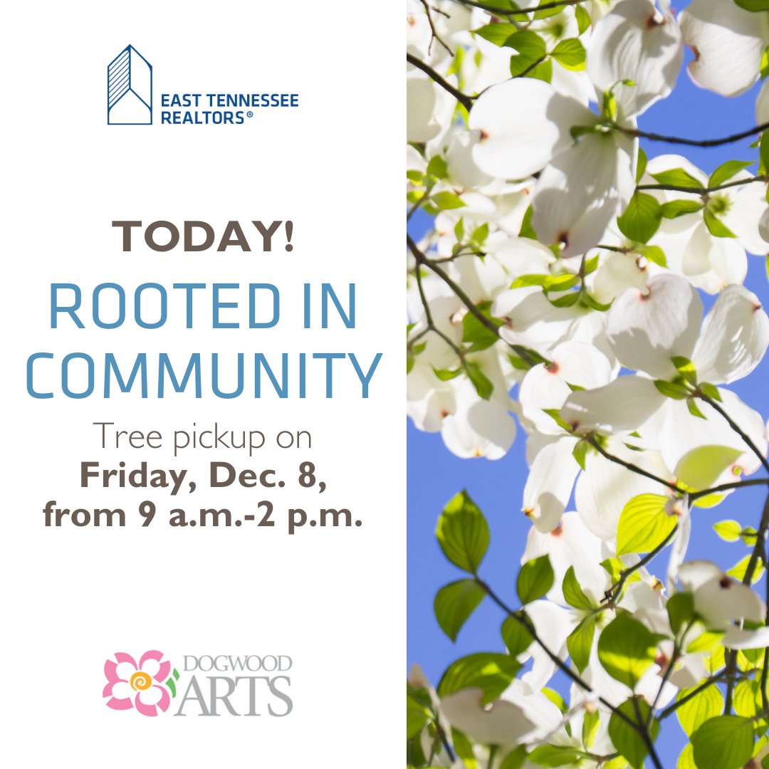 🗓️ Don’t forget to come by our office TODAY, Dec. 8, from 9 a.m.-2 p.m. to get your dogwood trees from our #RootedInCommunity campaign with @dogwoodarts! 🌳

Forgot to reserve a tree? We’ll have extras for purchase! 🏡 #REALTORSAreGoodNeighbors  #ENTRCares