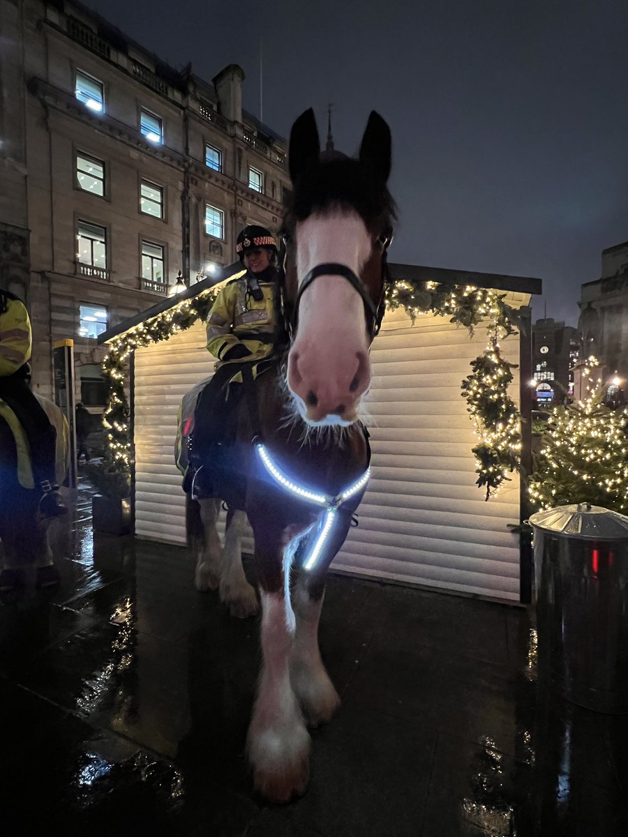 stephchapman99's tweet photo. @CityHorses @cityoflondon Loved seeing you both last night outside royal exchange - keep up the good work! https://t.co/OhuN6tH9oj