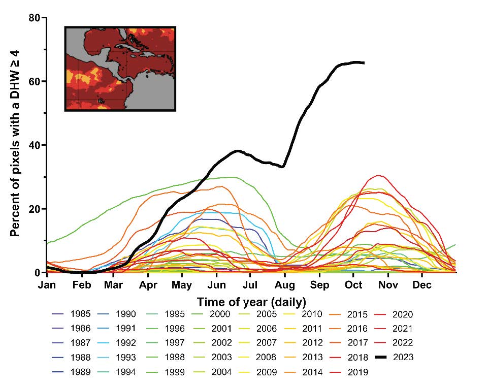 Caribbean corals are dying. In the last 40 years, however, corals have reached bleaching thresholds but have cooled off (coloured lines). This year has been shockingly different (black line). Read our Science paper and find out what it means for you. tinyurl.com/mvbefwtz