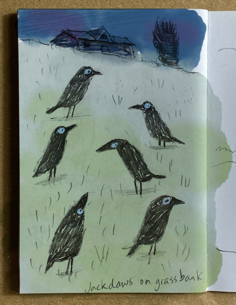 It’s Friday! Keep calm and carrion
#illustration #pencilsketch #birds