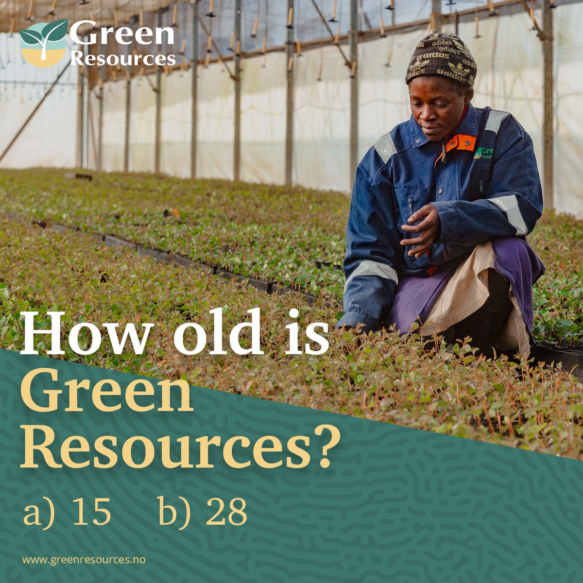 GreenResources's tweet photo. Forestry is a long term investment and we are proud of our long engagement in the sector. We value all those that have seen us grow . How old do you think we are?

#GreenResources
#Sustainability https://t.co/taltJXMkhk