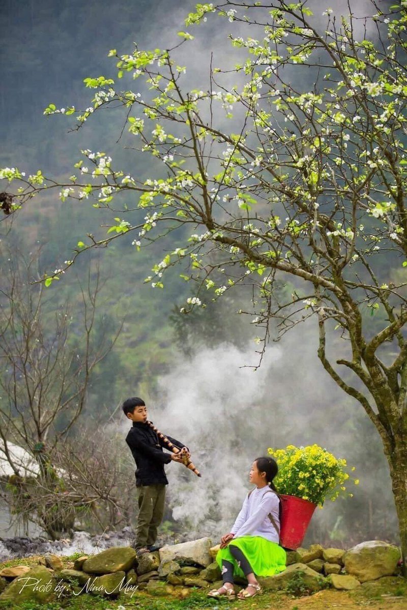 akhoa94's tweet photo. Hà Giang mùa nào cũng đẹp
Nhưng đẹp nhất vẫn là khoảng thời gian cuối tháng 12 đến Tết 🌸⛰
—-
📸 Ảnh đẹp của bạn Nina May

#Reviewhagiang #dulichhagiang #hagiang #tourdulich #tourtrongoi https://t.co/cnRAMbHW7G