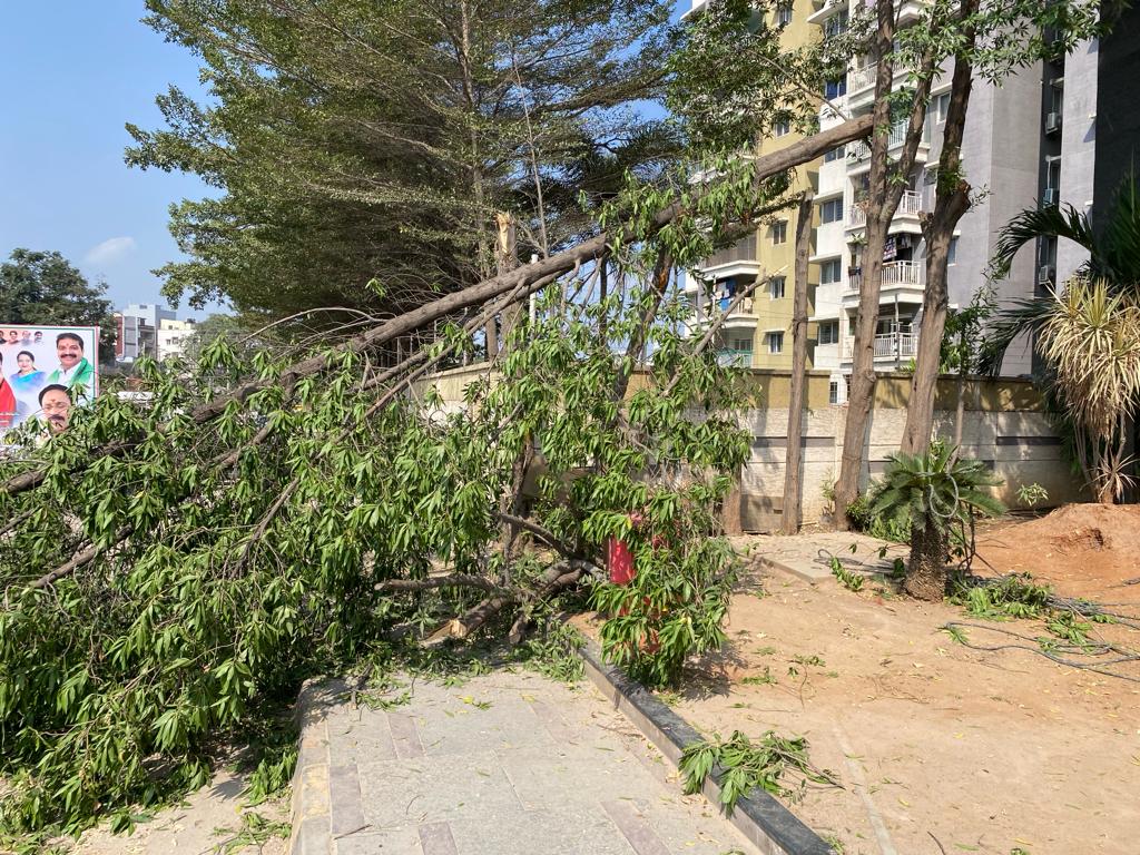 kalakurthy's tweet photo. Road side (outside community wall) 4 trees are cut.Does GHMC provided the permission to cut the trees? Can you plz look into this issue. This is on main Rd bfr Bhavyas Tulasivanam Apts. @zckukatpally @DC_Kukatpally @GandhiArekapudi @Director_EVDM @CommissionrGHMC @HarithaHaram https://t.co/lmrh5gRyON
